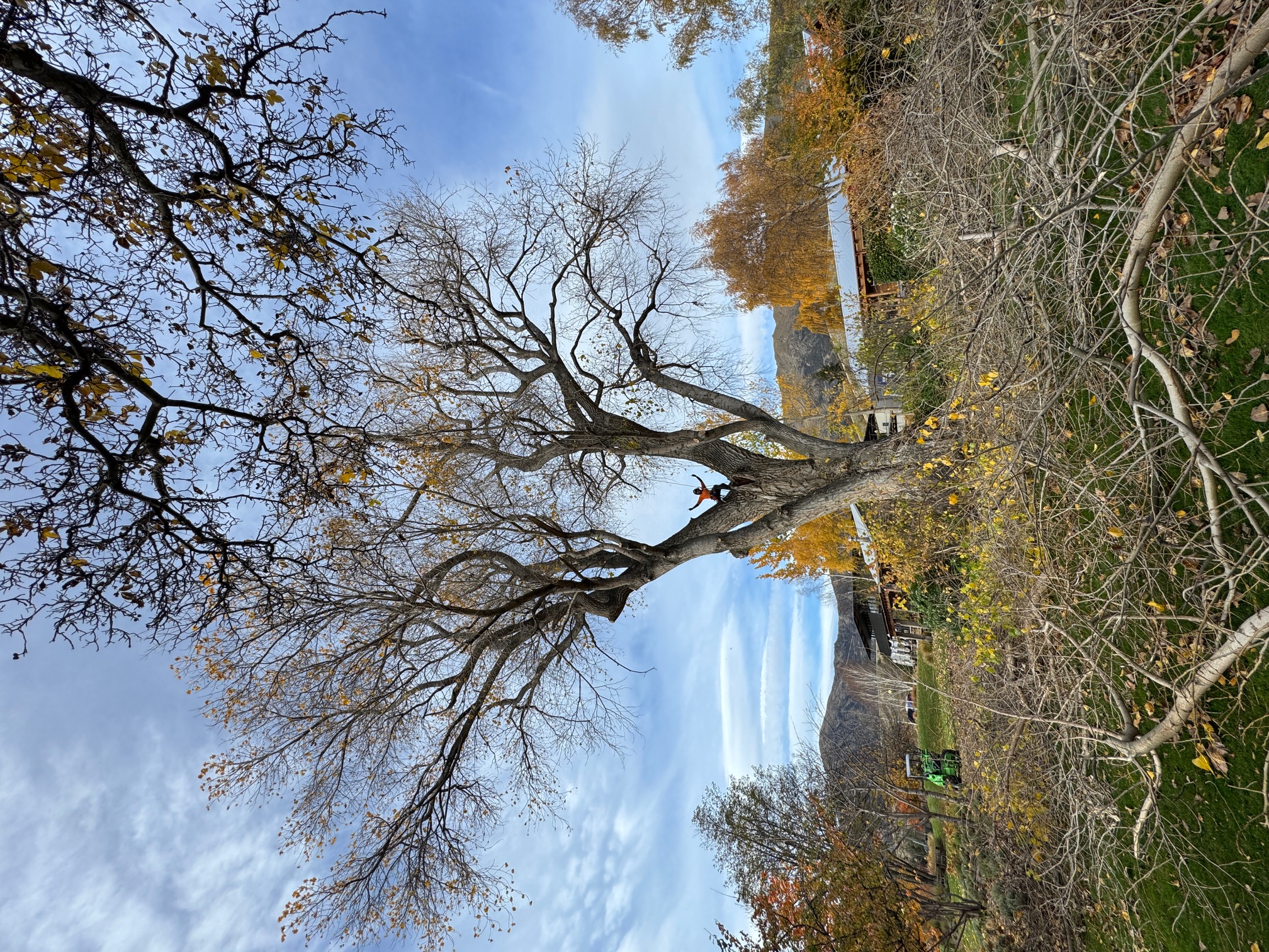 Team working on a project