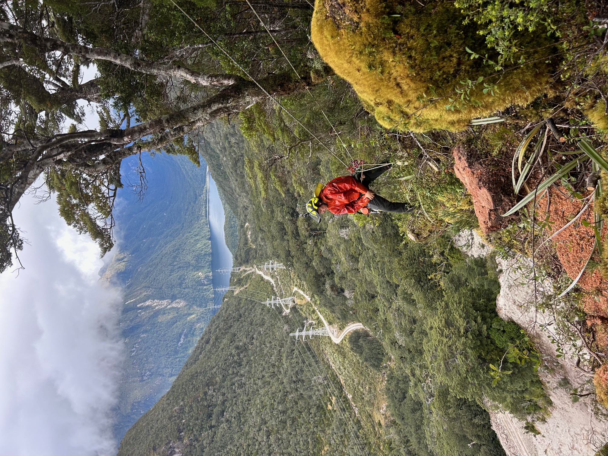 Team working on a project