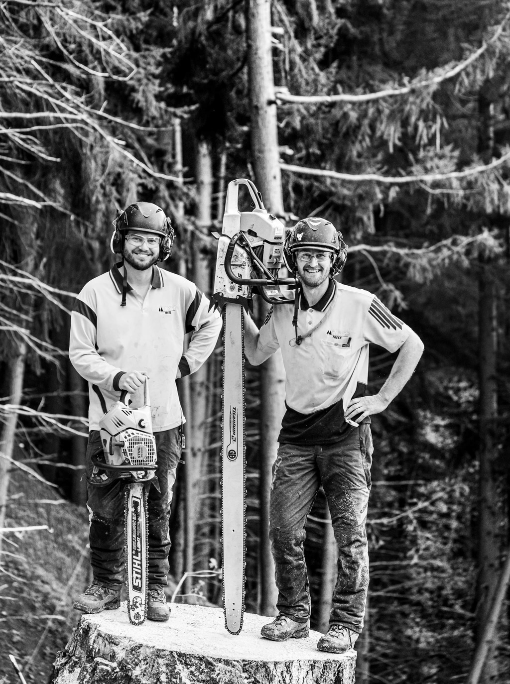 Stump grinding project